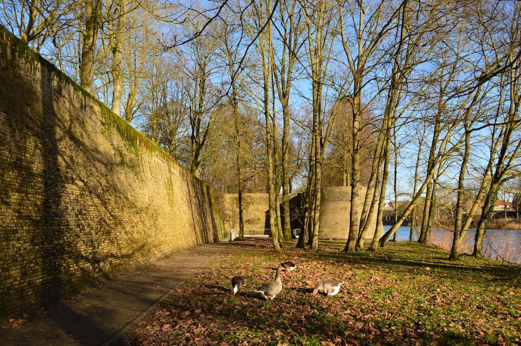 Holiday Home Ipericus Ieper Værelse billede